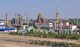 中国化工油气总公司 中国石油化工集团有限公司主要控股关系是什么